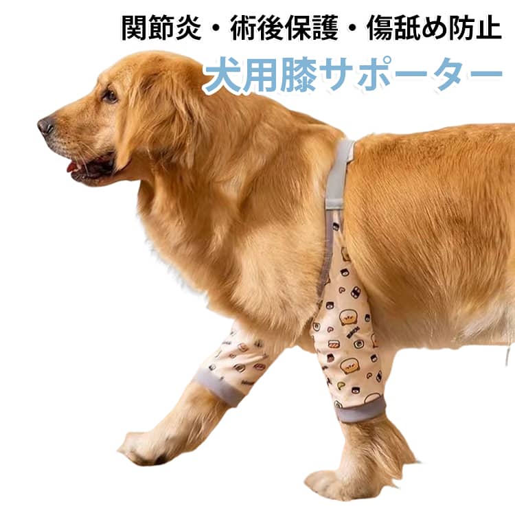 愛犬の肘の保護、関節のサポート、術後ケアに最適な犬用前足サポーター（左右セット）です。フローリングや硬い床での擦れによる床ずれ・皮膚潰瘍の予防や、ケガ・手術後の傷舐め防止に効果的。肘部分にはクッション性と通気性に優れた3Dメッシュパッドを採用し、衝撃を和らげながら蒸れを防いで快適な着け心地を保ちます。背中部分の固定ストラップは調節可能な差し込み式バックルで、首・背中にフィットしてズレ落ちにくく、ワンちゃんへの着脱もスムーズに行えます。機能性だけでなく見た目もかわいらしいデザインで、お散歩や室内でのケアを楽しくサポートします。 サイズ L XL サイズについての説明 L 体重15～30kg XL 体重30～50kg 素材 色 写真色 備考 ●サイズ詳細等の測り方はスタッフ間で統一、徹底はしておりますが、実寸は商品によって若干の誤差(1cm～3cm )がある場合がございますので、予めご了承ください。 ●製造ロットにより、細部形状の違いや、同色でも色味に多少の誤差が生じます。 ●パッケージは改良のため予告なく仕様を変更する場合があります。 ▼商品の色は、撮影時の光や、お客様のモニターの色具合などにより、実際の商品と異なる場合がございます。あらかじめ、ご了承ください。 ▼生地の特性上、やや匂いが強く感じられるものもございます。数日のご使用や陰干しなどで気になる匂いはほとんど感じられなくなります。 ▼同じ商品でも生産時期により形やサイズ、カラーに多少の誤差が生じる場合もございます。 ▼他店舗でも在庫を共有して販売をしている為、受注後欠品となる場合もございます。予め、ご了承お願い申し上げます。 ▼出荷前に全て検品を行っておりますが、万が一商品に不具合があった場合は、お問い合わせフォームまたはメールよりご連絡頂けます様お願い申し上げます。速やかに対応致しますのでご安心ください。