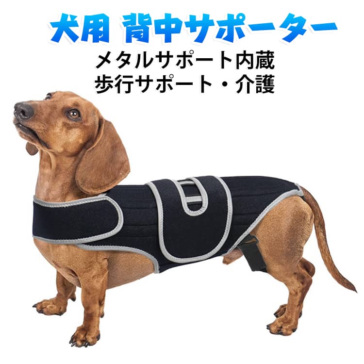楽天市場】ダックス コルセットの通販