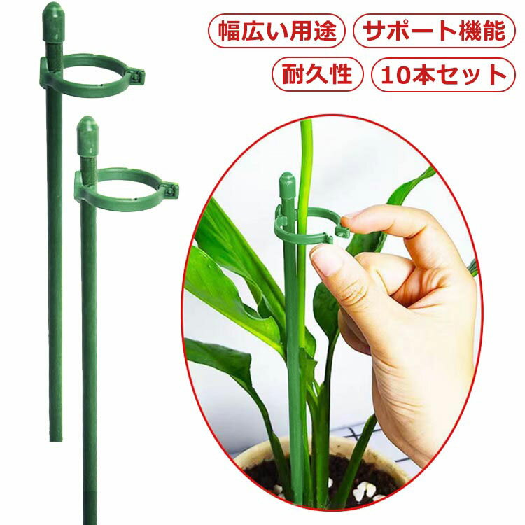 Rakuten - 花 ささえ 10本セット 支柱 30cm 45cm 60cm 75cm 園芸 ガーデニング 観葉植物 雨風で草花が倒れるのを防ぐ専用のささえ 草花の広がりを抑えて美しく演出できる 送料無料