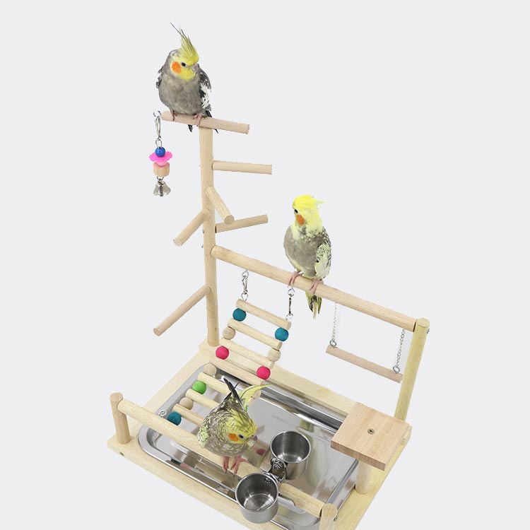 ���� ͷ�Ӿ� Ļ�� ��������å� 2�� �С��ɥȥ� Ļ�Τ������ ���� �Ϥ��� �ߤޤ��� ������� �������� ������ ���� ��� Ļ���� ���� ͷ���� ������ �֥�� ����� �٥� Ļ��ͷ�Ӿ� ���ȥ쥹��� Ļ�Ѵ�� ������������ �֥���祦 Ļ���å�