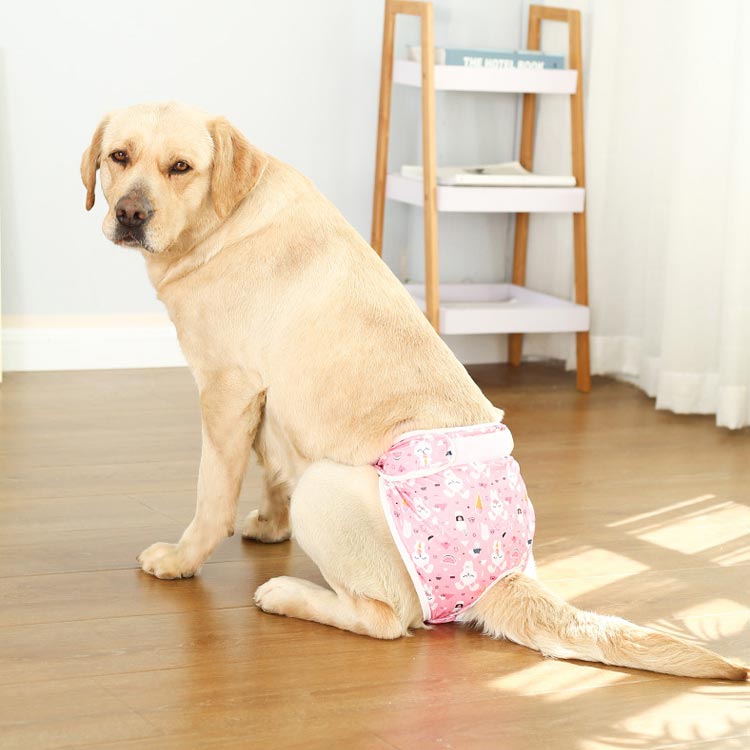 seam 楽天市場店のマナーパンツ 犬 メス マナーパンツカバー 女の子 サニタリー パンツ 生理パンツ マナーウェア 通気性抜群 ストランプ 軽い かわいい おむつカバー 雌避妊 介護 発情期用 生理用 マーキング 尿もれ オシッコ対策 ズレ防止 かわいい 送料無料｜アングル3