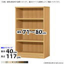 本棚 組立式 横幅 サイズ オーダー エースラック タフタイプ 棚板移動ピッチ1.5cm加工 幅71～80x奥行40x高さ117cm 大洋