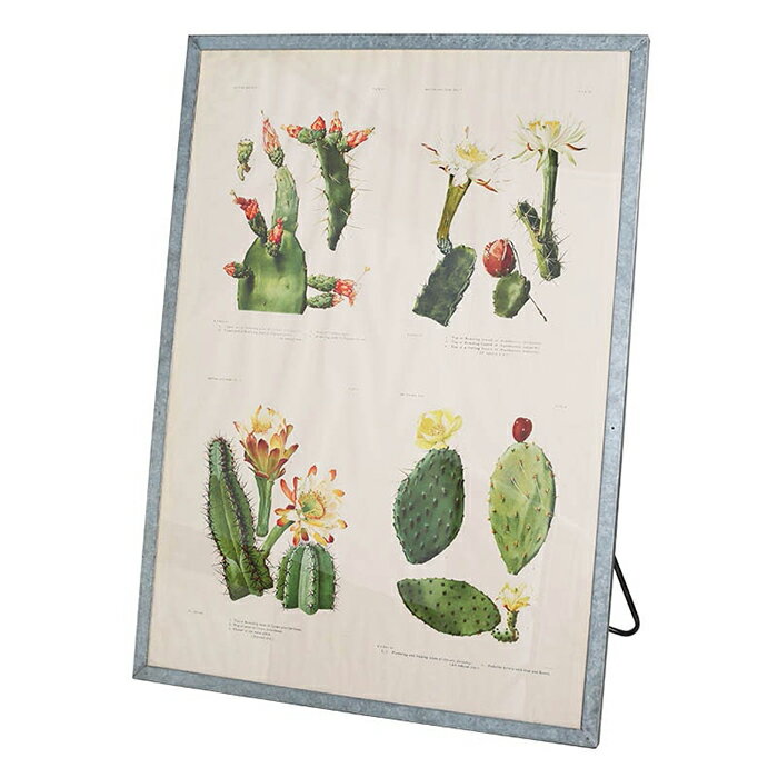 �۱� GALVANIZED FRAME STAND RN-0400-A0 ��905x����20x�⤵1245mm ����ȥ�