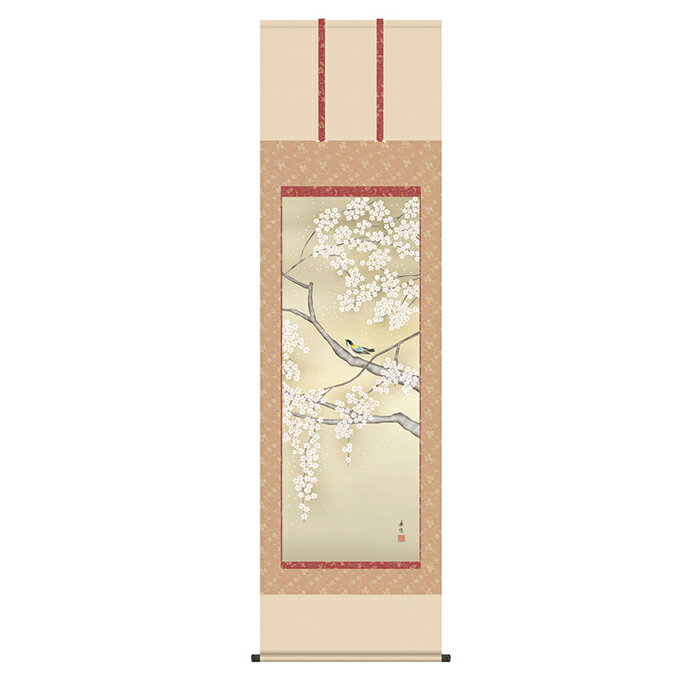 Rakuten - 掛け軸 桜花に小鳥 西尾香悦 54.5x190cm 三幸