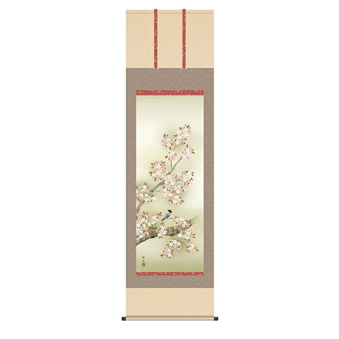 掛け軸 桜花に小鳥 長江桂舟 54.5x190cm 三幸