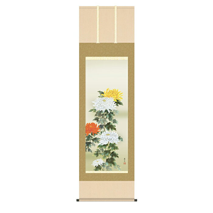 掛け軸 菊花 高見蘭石 54.5x190cm 三幸