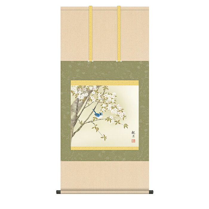 掛け軸 桜花に小鳥 森山観月 54.5x115cm 三幸