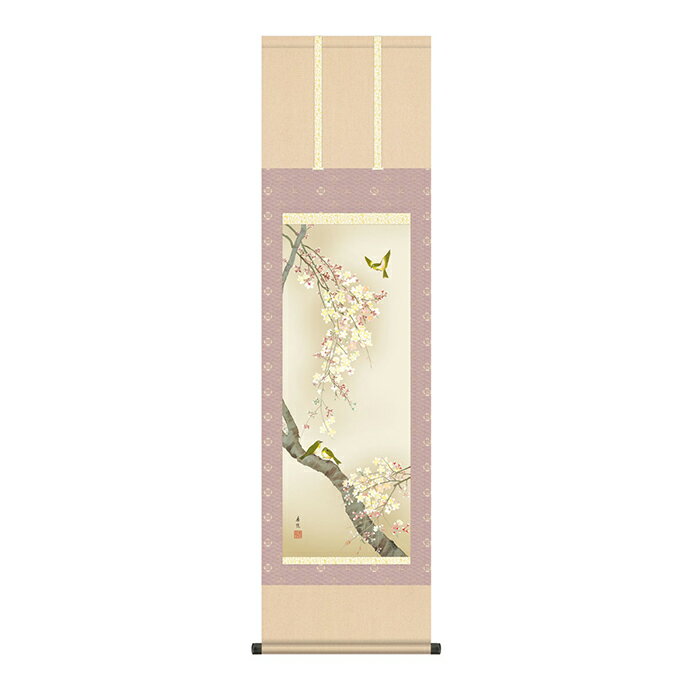 Hanging Scrolls - 掛け軸 桜花に小鳥 西尾香悦 44.5x164cm 三幸