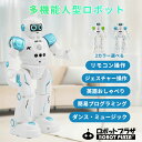 人型 ロボット おもちゃ 動く おもちゃロボット 小学生 日本語説明書 英語 しゃべり 充電式 ジェスチャー 歌う 音楽 デモ プログラミング 誕生日プレゼント...