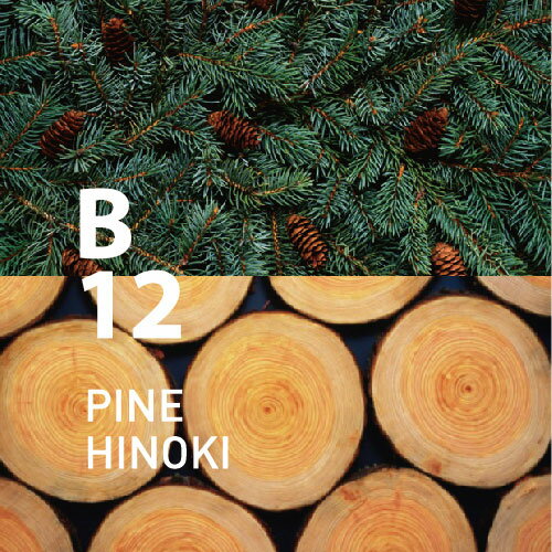 【公式アットアロマ】B12 パインヒノキ ピエゾアロマオイル100ml