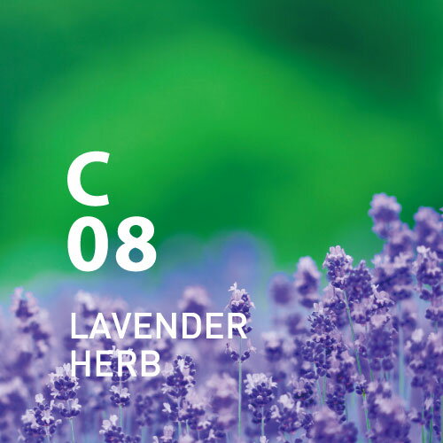 メディアで話題!【公式アットアロマ】C08 ラベンダーハーブ10ml LAVENDER HERB トドマツ 花粉