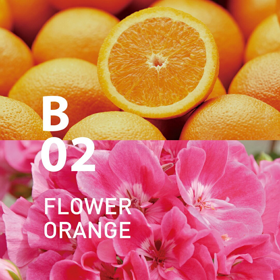 @aroma ���åȥ����� ���� B02 �ե������ ���å��󥷥�륪���� 10ml