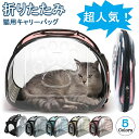 猫 キャリーバッグ 折りたたみ ハード 犬 キャリーケース ペットキャリー かわいい 2way お出かけバッグ トートバッグ ショルダー 軽量 コンパクト 通気...