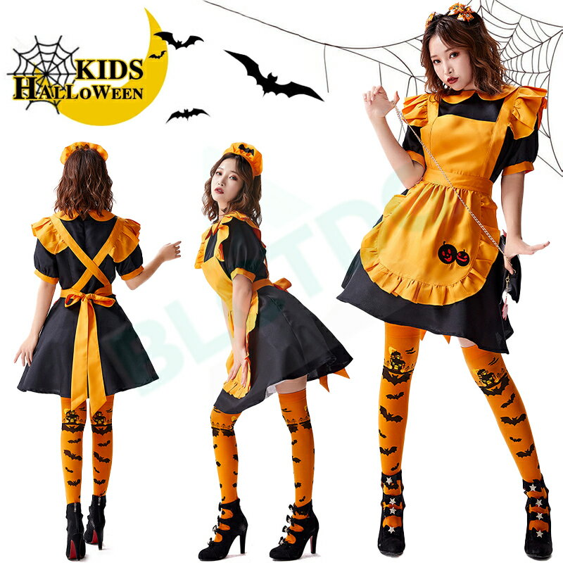 ϥ ץ  ܤ ѥץ ᥤ ǥ   ۷쵴ѿ      ץ ꥬ륺 ...