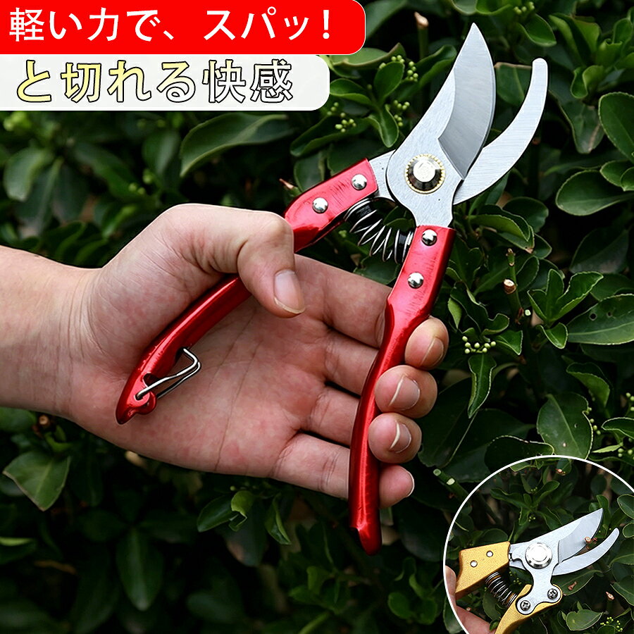 乐天商城 - 【48H限定300円クーポン】剪定ばさみ 剪定鋏 プロ用 枝切り鋏 枝切ばさみ 園芸用ハサミ ガーデニング 花はさみ えだきりばさみ 強力 植木ハサミ 太い枝 せんていばさみ 枝切り鋏 よく切れる 軽量 女性用 軽い 手入れ 高齢者