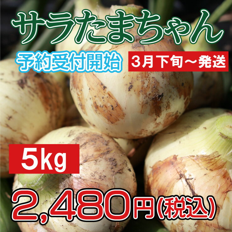 商品詳細名称サラダたまねぎ内容量(kg)5(M、L、LA混載)原材料たまねぎ原産国日本原産地域九州原産地熊本保存方法日陰の涼しい所で、保存してください。配送温度帯常温同梱についてサラたまちゃん5kgを2ケースまでは1個口でお届けいたします。2ケースご購入時には送料が2個口分計上されますが、後ほどメールにて送料変更のお知らせをお送りいたしますので、必ずご確認いただきますようお願いいたします。芦北地域の気候と風土が育て、除草剤を一切使用しない栽培方法で特別栽培農産物として出荷 されているサラたまちゃん。一玉一玉手作業で箱詰めしています。スライスしてそのままサラダで 食べるのはもちろんですが、焼いても良し、炒めても良し、煮込んでも良しの万能たまねぎ♪