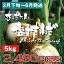 【5月上旬発送予定分】たかみね農園 あしきたん塩たまねぎ5kg 玉ねぎ サラダたまねぎ 新玉ねぎ サラたま サラダたまねぎ サラたまちゃん 熊本県