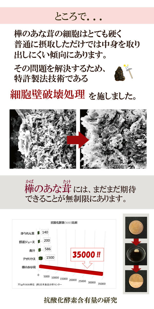 チャーガ【60代女性の健康維持に】お試しサイズ...の紹介画像3