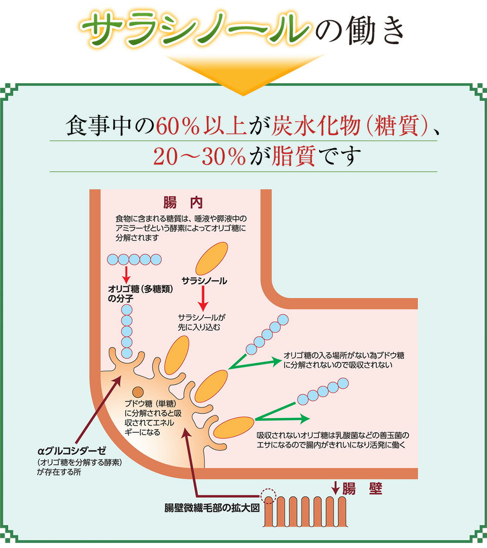 『サラシノール陽気茶』　ハト麦　ダイエット　腸活　サラシア　アーユルヴェーダ　健康維持　お腹すっきり　血糖値　健康茶　便秘