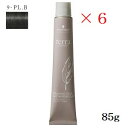 シュワルツコフ テラ 85g プラチナブラウン9 ×6セット (医薬部外品)