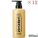 デミ キャラバン スカルプシャンプー 490ml ×12セット (医薬部外品)(4)