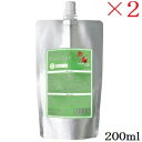 サニープレイス 輝髪 ペインターB 200ml ソフト ×2セット