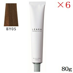 サンコール レアラカラー 80g BY05 ×6セット