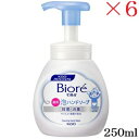 花王 ビオレu 泡ハンドソープ 業務用 ポンプ 250ml ×6セット (医薬部外品)(4)