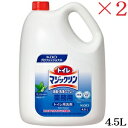 花王 トイレマジックリン 消臭・洗浄スプレー 業務用 4.5Lボトル ×2セット