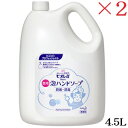 花王 ハンドスキッシュ 4.5L ×2セット (医薬部外品)