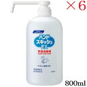 花王 ハンドスキッシュEX 800ml ×6セット (医薬部外品)