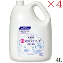 花王 ビオレU 泡ハンドソープ 4L マイルドシトラス ×4セット (医薬部外品)(4)