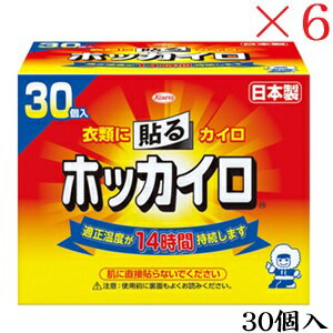 興和新薬 ホッカイロ 貼る レギュラー 30個 ×6セット