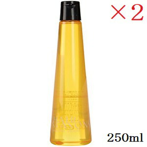 デミ ヘアシーズンズ シャンプー スムース 250ml ×2セット