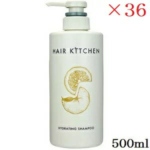 Ʋץ إå ϥɥ쥤ƥ󥰥ס 500ml 36å