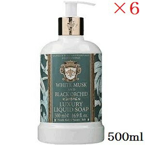 フィオレンティーノ リキッドソープ 500ml ホワイトムスク&ブラックオーキッド ×6セット
