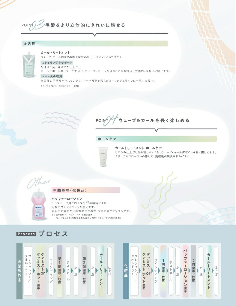 中野製薬 エモルテ ケアミスト 400ml + シス 1剤 400ml + 過酸化水素水 2剤 400ml ...