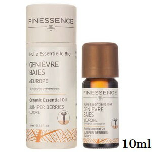 եͥå FINESSENCE å󥷥륪 ˥ѡ٥꡼ 10ml