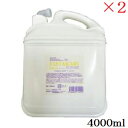 ナプラ ファンタスケア Dシャンプー 4000ml レフィル 詰替用 ×2セット