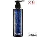 フィヨーレ ファシナート シャンプー AB 250ml ×6セット