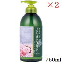 ナプラ ケアテクト OG シャンプー VC 750ml ×2セット