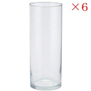 モルカグラス L S66000204 ×6セット