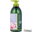 ナプラ ケアテクト OG シャンプー VC 750ml