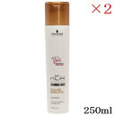 シュワルツコフ BC クア カラースペシフィーク シャンプー 250ml ×2セット