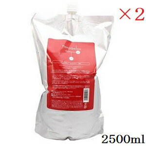 ニューウェイジャパン ナノアミノ シャンプー DR 2500ml ×2セット