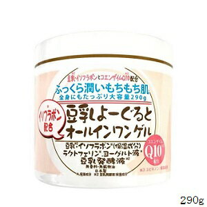 豆乳イソフラボンよーぐるとオールインワンゲル 290g