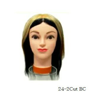 24-2Cut BC