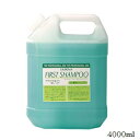 サブリナ ファーストシャンプー 4000ml(4)