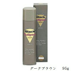 チュリパン EXカラースプレー 95g ダークブラウン チュリパン EXカラースプレー 95g ダークブラウン