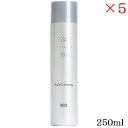 ナンバースリー 003 ミュリアム 薬用スカルプ 炭酸クレンジング 250ml ×5セット (医薬部外品)